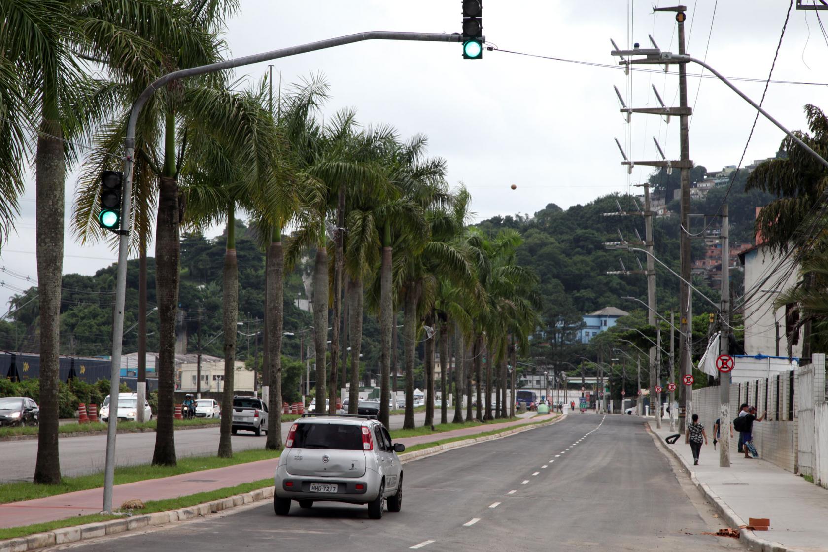Veículo trafega em pista. Ao longo da via, no canteiro central à esquerda, há inúmeras palmeiras. No alto, há um semáforo em funcionamento. #Pracegover