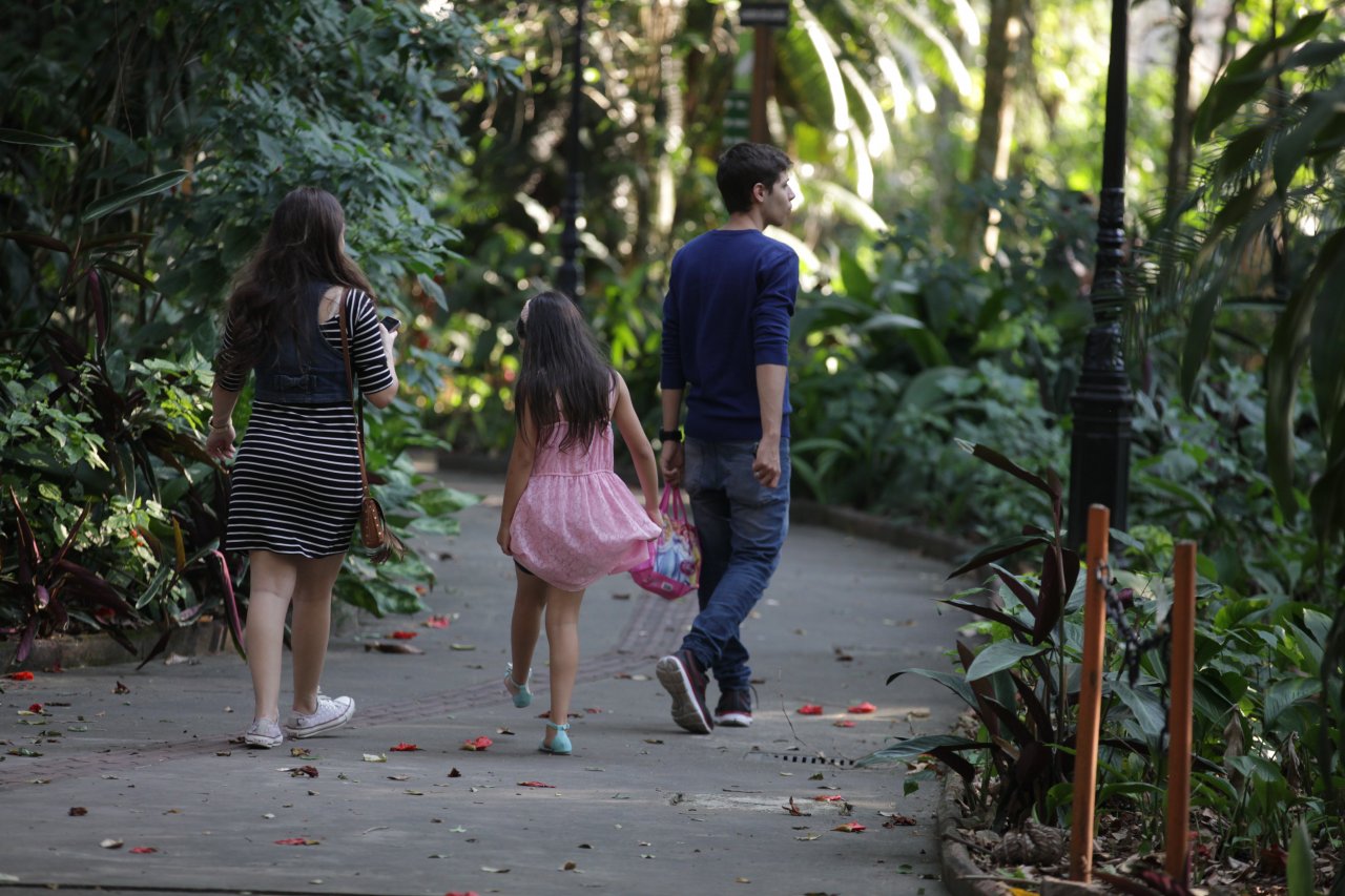 Orquidário é o ponto de parada de linha turística neste fim de semana