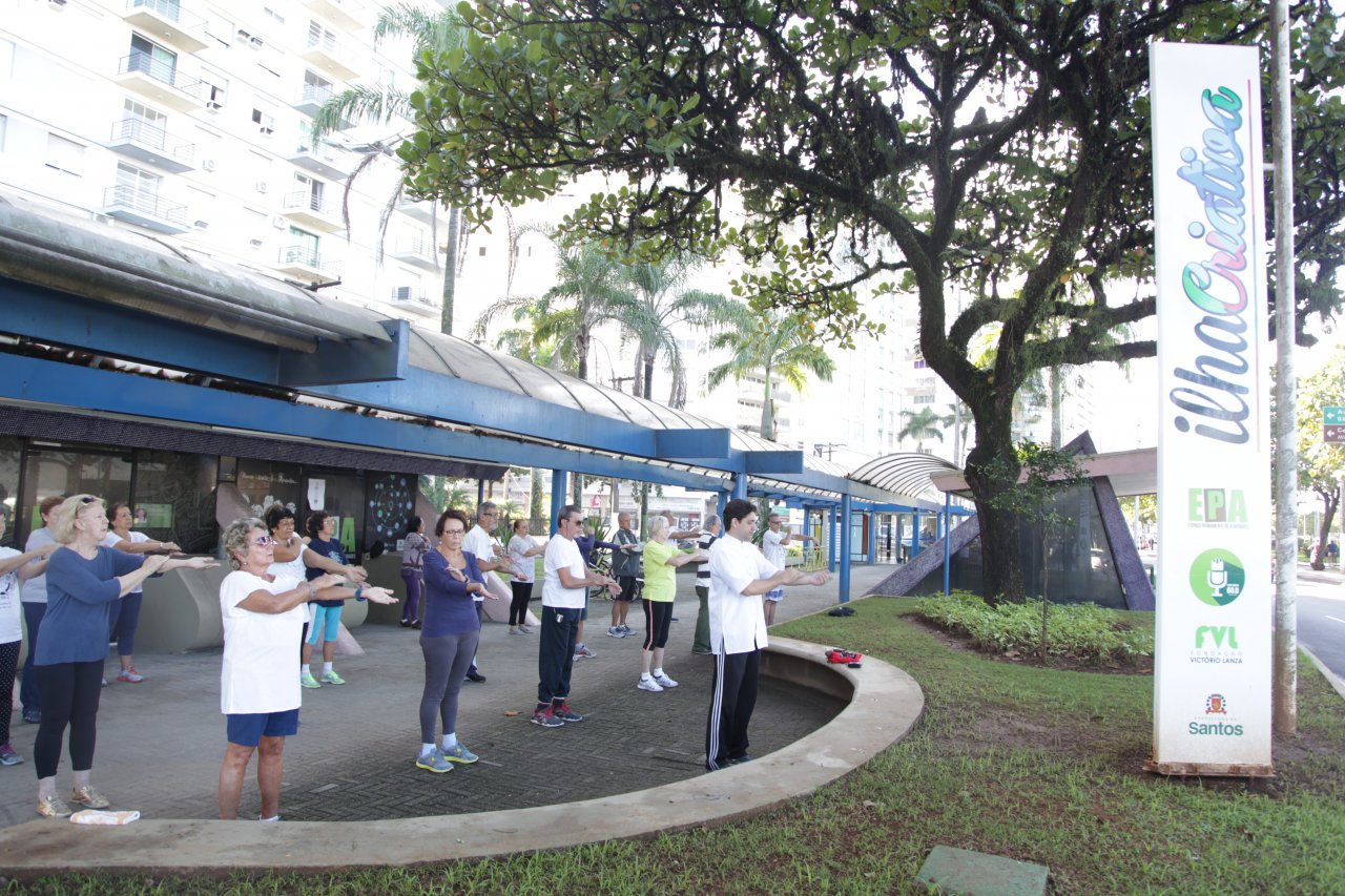 Idosos podem praticar tai chi na Ilha Criativa duas vezes por semana gratuitamente