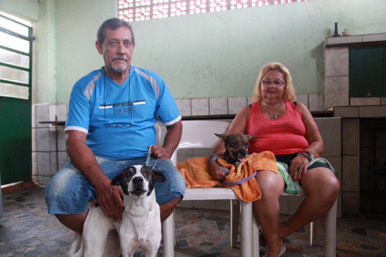 Codevida castra gratuitamente 20 animais no Bom Retiro