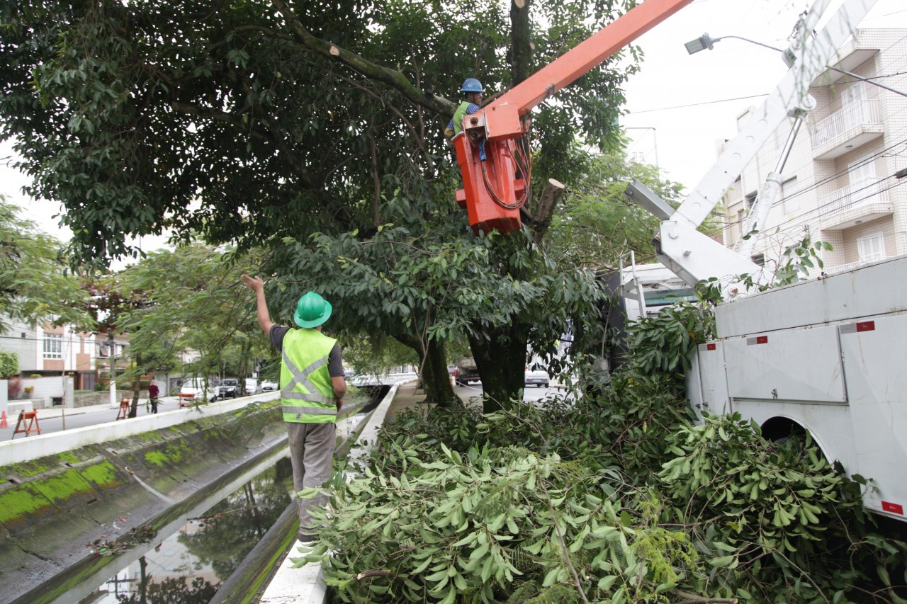 Prefeitura realiza serviço de poda de árvores na Av. Almirante Cochrane