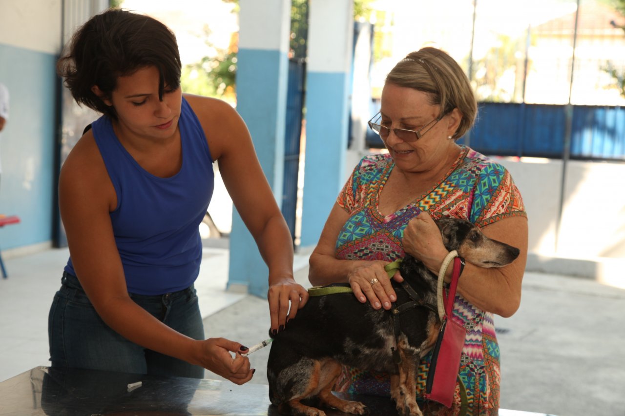 Campanha de vacinação antirrábica se estende por tempo indeterminado