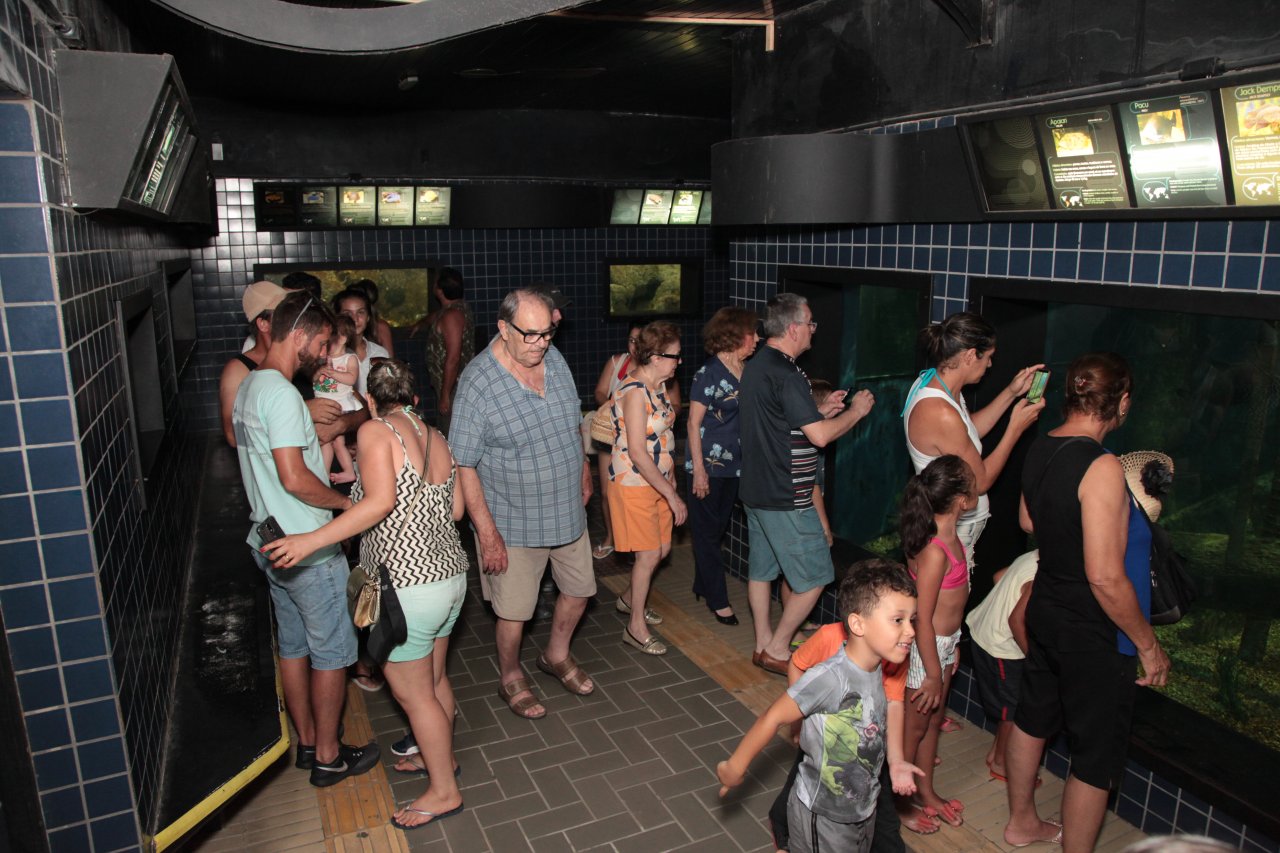 Linha Conheça Santos terá parada especial no campeão de visitas na Cidade