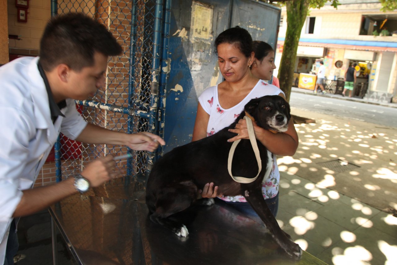 Campanha contra a raiva já vacinou quase 10 mil animais