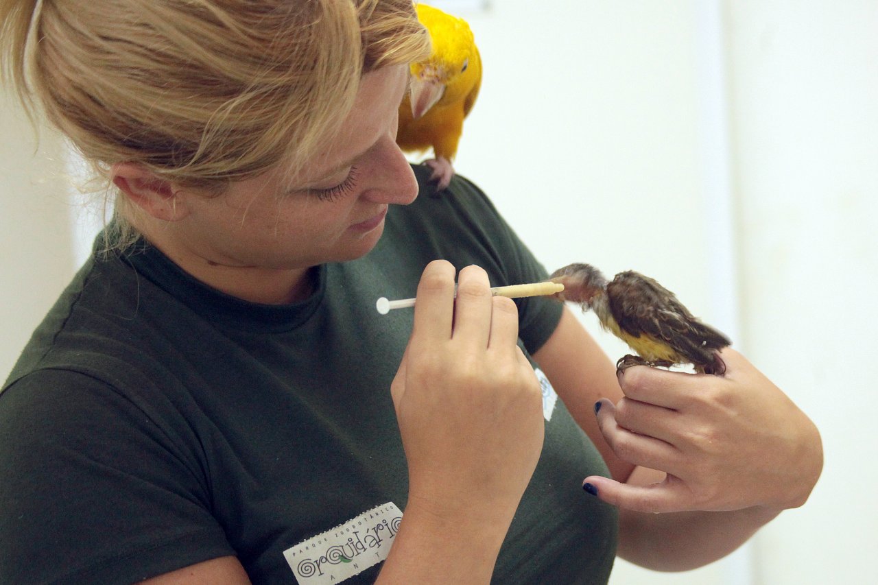 Animais do Orquidário recebem alimentação nutritiva e balanceada