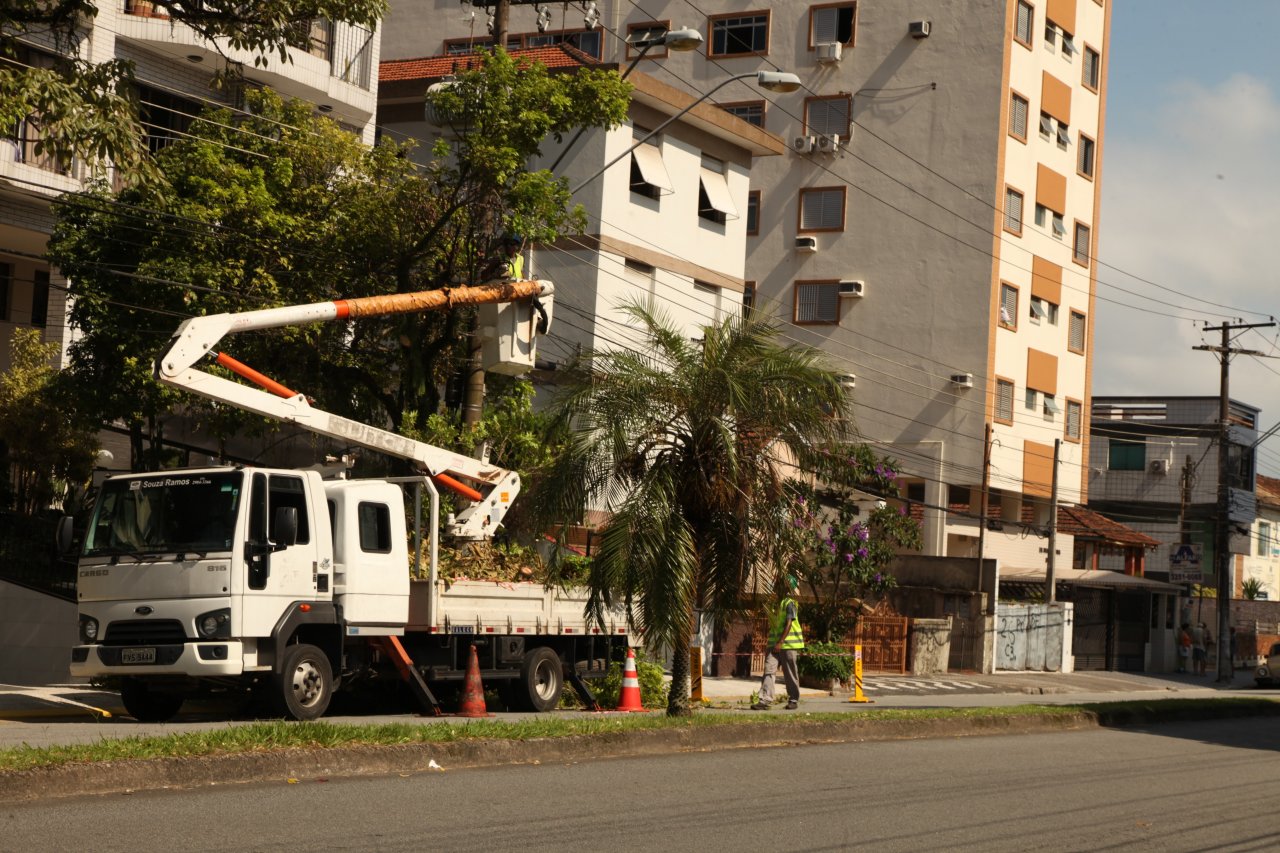 Poda de árvore: serviço percorre a Av. Pedro Lessa