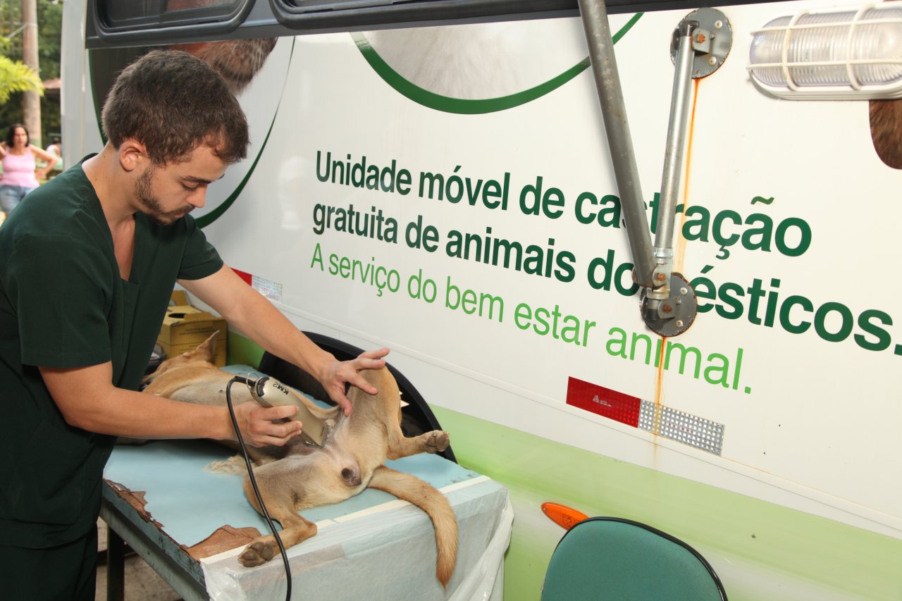 Codevida abre agendamento para castração gratuita de cães e gatos
