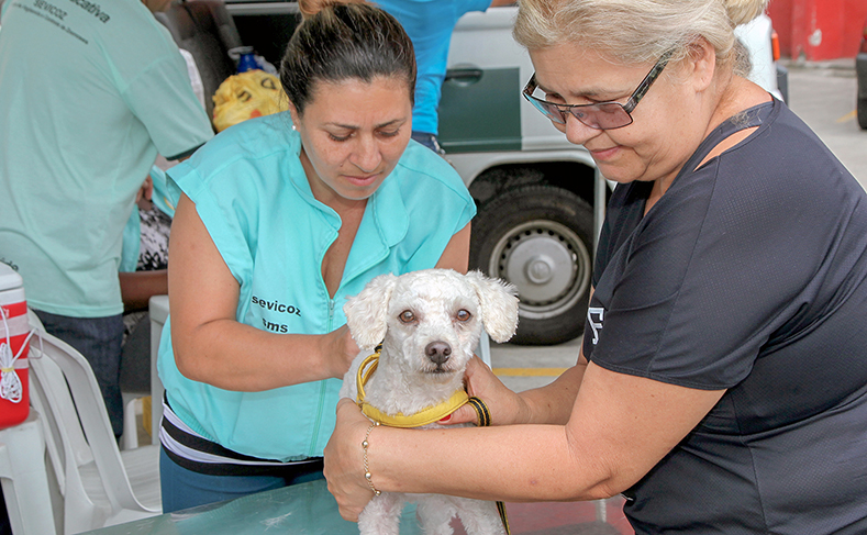 Posto volante da Aparecida imuniza mais 302 animais contra a raiva