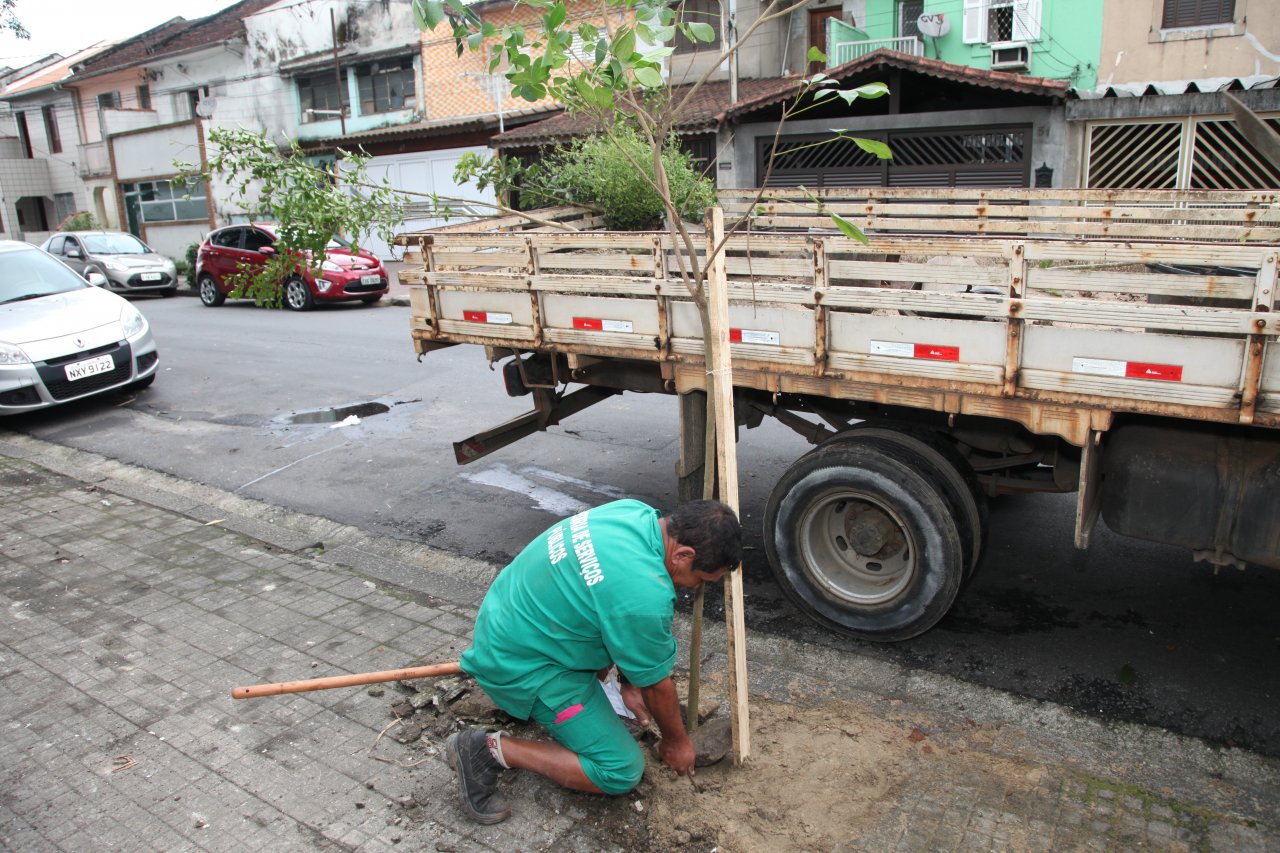 Projeto 'Colorindo o verde' planta mudas de Mata Atlântica na Cidade