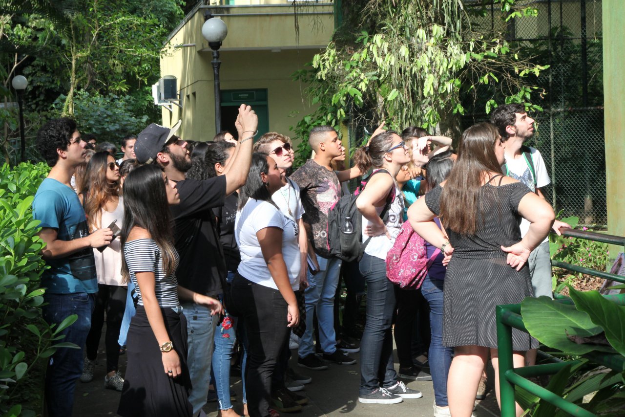 Projetos focam em educação ambiental no verão