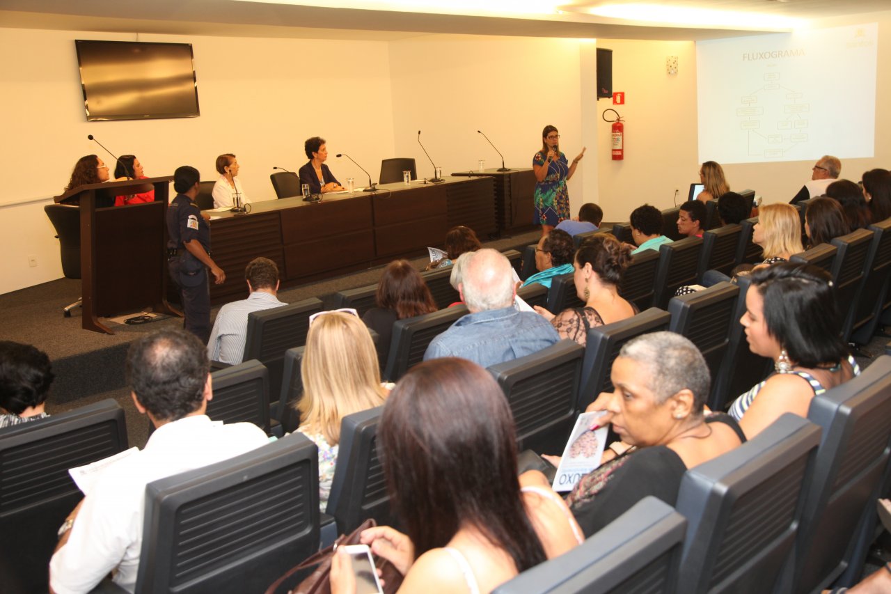 Violência sexual e fluxo de atendimento são debatidos na Câmara