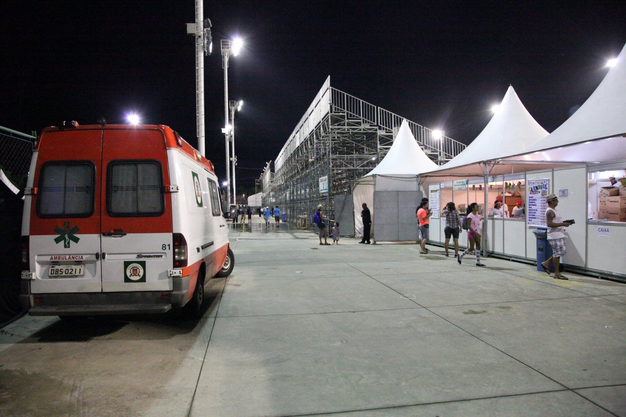 Carnaval 2017: Samu estará a postos na passarela do samba