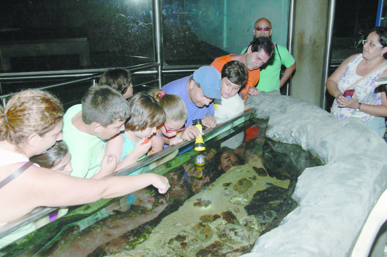 Inscrições para as atividades de férias do Aquário tem início nesta terça (15)