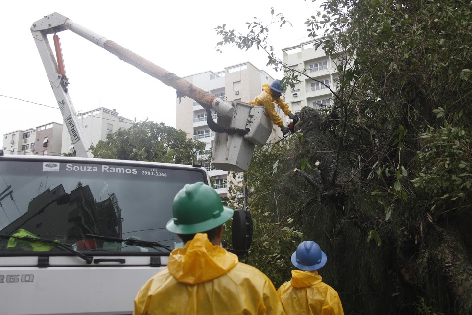 Danos do vendaval alteram programação de poda de árvores