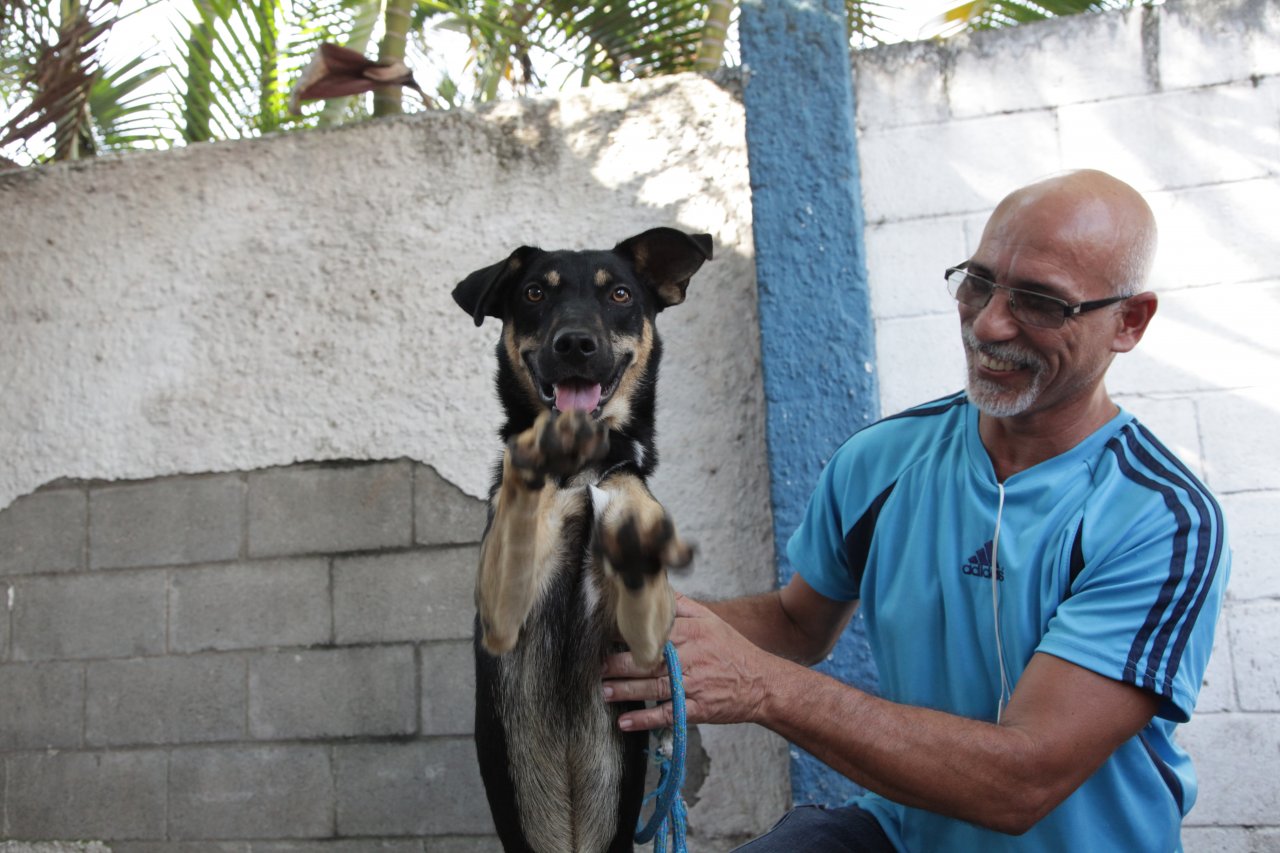 Castramóvel faz nova rodada de cirurgias gratuitas em 23 animais