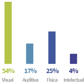Gráfico de barras mostrando que 54% é visual, 17% é auditiva, 25% é física e 4% é intelectual