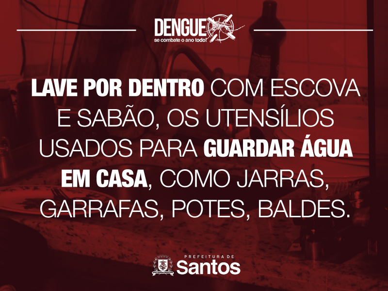 Lave por dentro com escova e sabão, os utensílios usados para guardar água em casa, como jarras, garrafas, potes, baldes.
