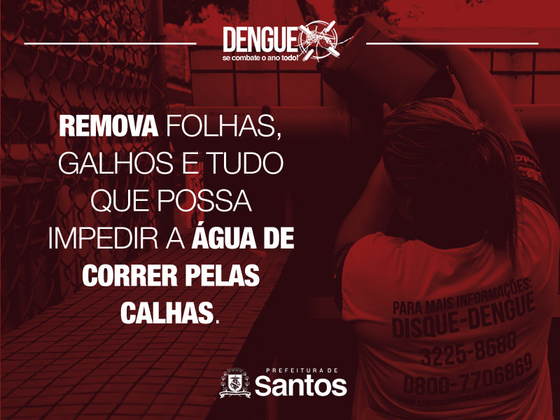 Remova folhas, galhos e tudo que possa impedir a água de correr pelas calhas.