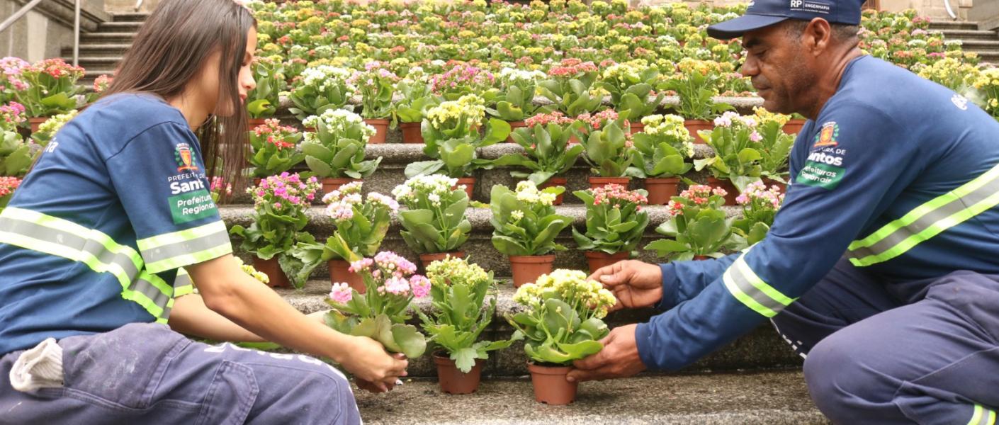 Primavera Criativa agita o primeiro fim de semana da estação com feira, oficinas, passeio ciclístico e música 