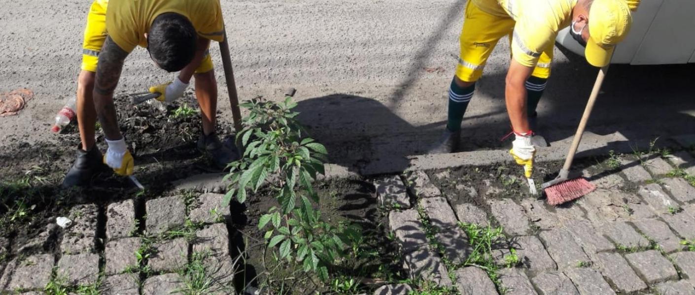 dois homens capinam calçada