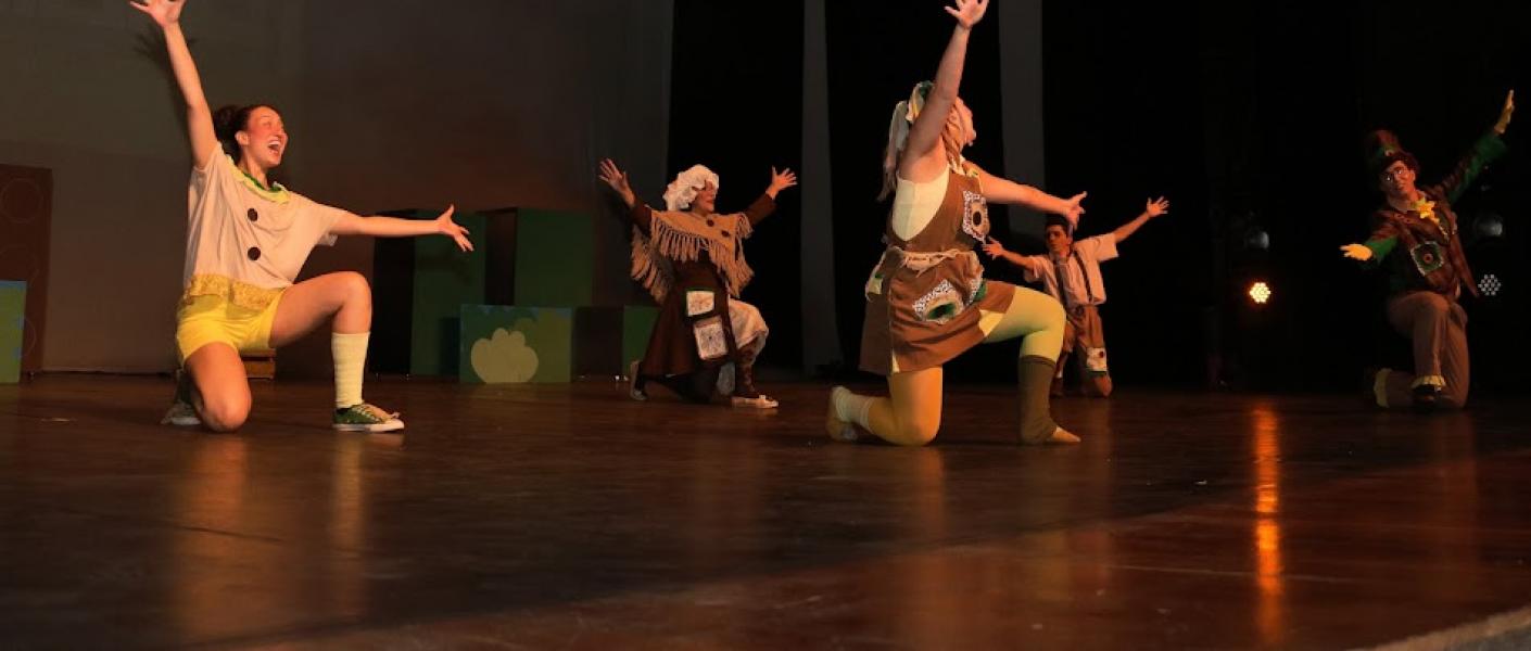 Santos elabora projeto de fomento ao teatro