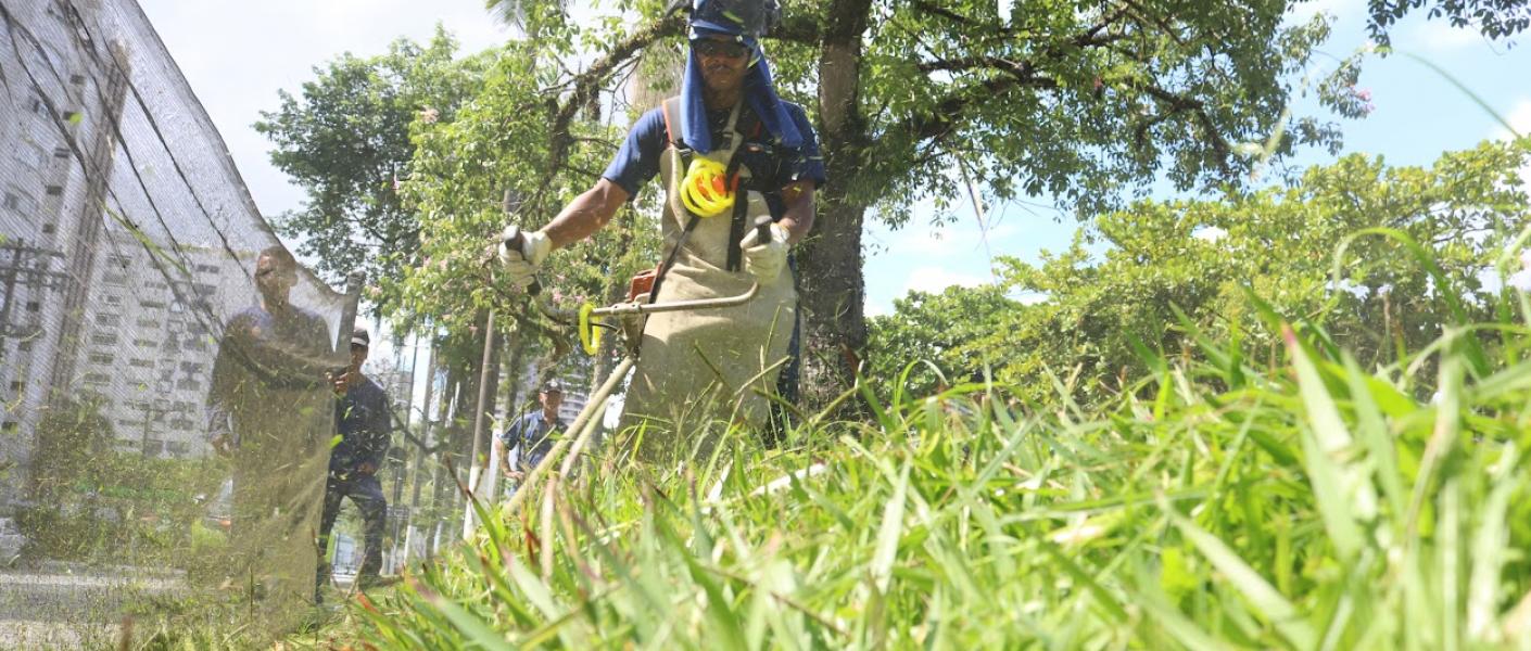 Prefeitura vai ampliar corte de mato e grama em 67% e atuar no equivalente a 700 campos de futebol