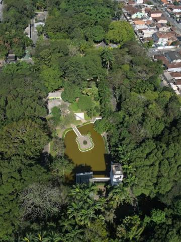 vista aérea de mass verde do jardim botânico. #paratodosverem