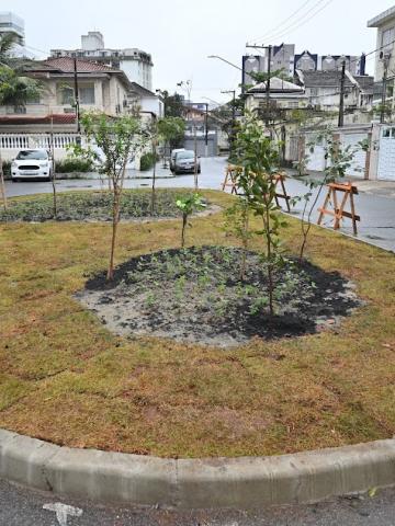 pequena praça com gramado e mudas de árvores. #paratodosverem