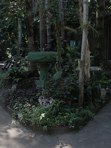 canteiro de plantas no orquidário. #paratodosverem 