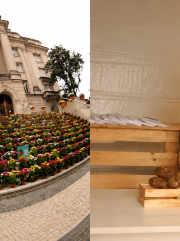montagem mostra primavera criativa e cará festival #paratodosverem
