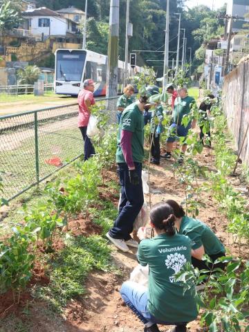 pessoas plantando arvores #paratodosverem