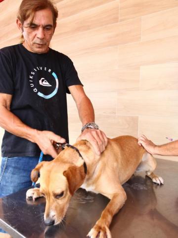 cachorro é vacinado #paratodosverem 