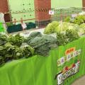 Feira de Orgânicos de Santos retorna com protocolos de prevenção à covid-19