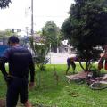 Nova força-tarefa orienta 71 pessoas em situação de rua do José Menino à Ponta da Praia
