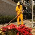 Profissional realiza limpeza em calçada com flores. #pratodosverem