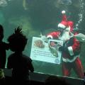 papai noel dentro do aquário exibe papel com mensagem e crianças observam #paratodosverem