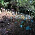 Demarcações de árvores que foram plantadas em espaço no morro. #paratodosverem