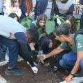 alunos e voluntários plantam árvore #paratodosverem