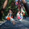 crianças brincam em balancê no parque. #paratodosverem 