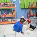 crianças olham livros #paratodosverem