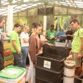 pessoas olhando mudas na semana da compostagem #paratodosverem