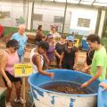pessoas na atividade de compostagem #paratodosverem