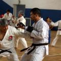várias pessoas praticando caratê #paratodosverem