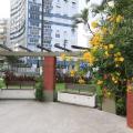 recanto com flores amarelas. #paratodosverem 