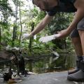 homem entrega comida para aves no lago #paratodosverem