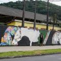 Muro grafitado com desenhos de cavalos. Uma das figuras é a de uma menina em cadeira de rodas com a cabeça apoiada na cabeça do cavalo. #Paratodosverem