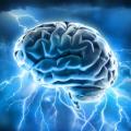 imagem de cerebro #paratodosverem