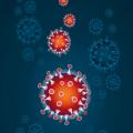 Coronavírus: Santos Portal mostra o que você precisa saber