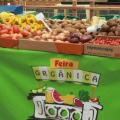 barraca de feira #paratodosverem 