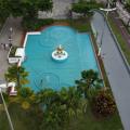 fonte do sapo vista de drone. #paratodosverem